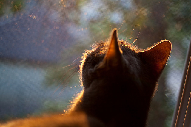 阿尔特塔在比赛中灵活调整阵型,应对不同对手,阿尔特塔集锦