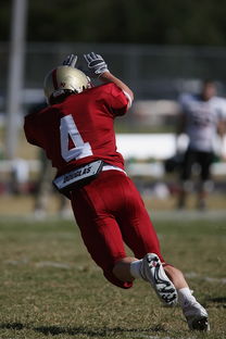 爱游戏在线登录入口-德甲球队休赛期集训方式对开局表现影响，德甲青训规则