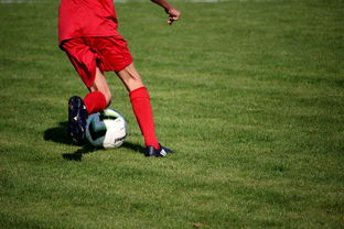 爱游戏中国官方登录入口网站-篮球运动员心理素质测评体系构建，篮球运动员心理素质的重要性