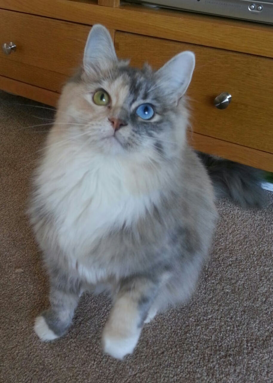 爱游戏娱乐网址-美职篮季后赛对阵出炉 热门球队强强对决，美职业季后赛