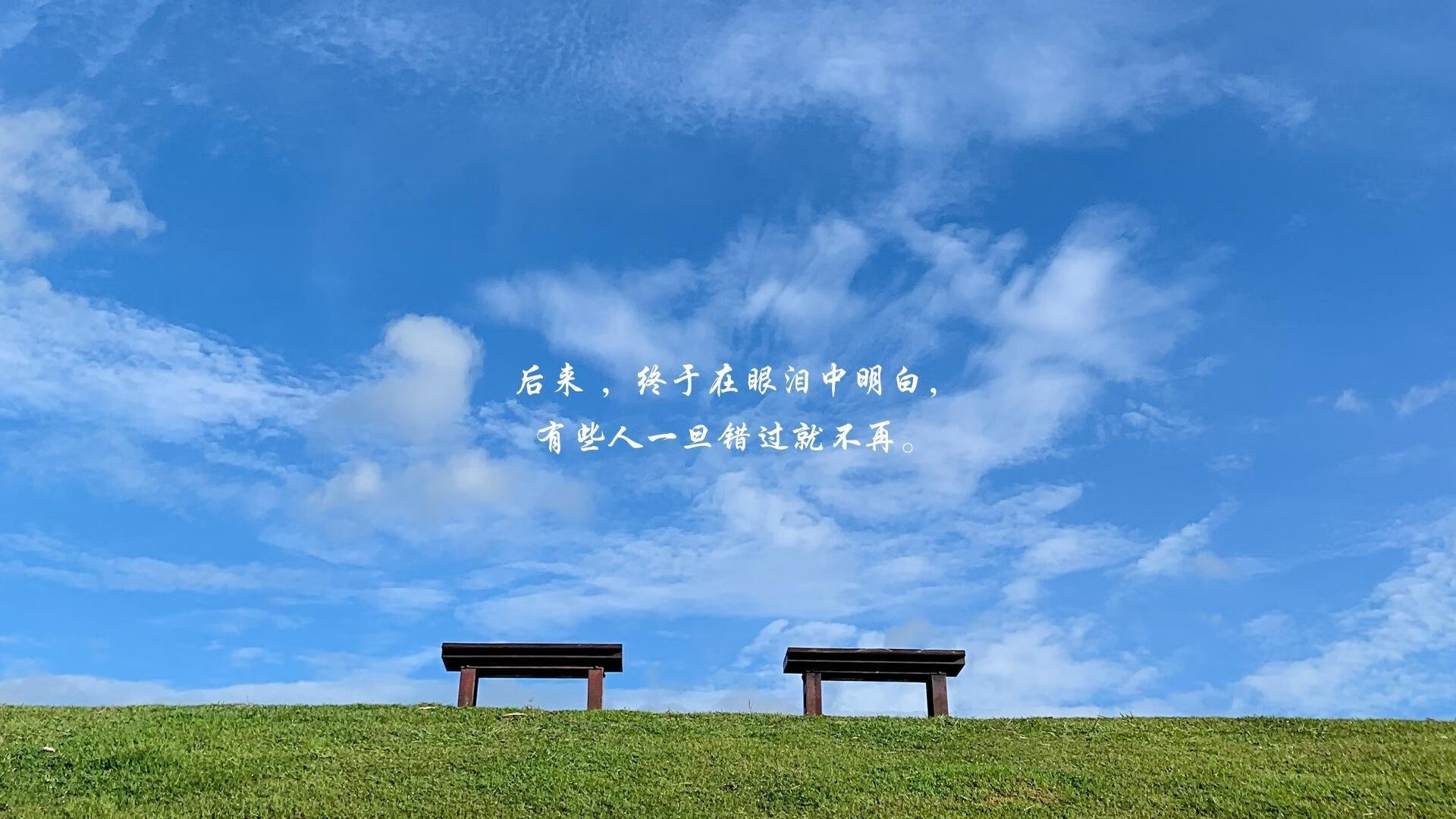 足球场草皮耐磨性提升研究成果公布,专业足球场草皮多少钱