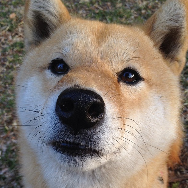 运动康复科普讲座走进社区和学校,运动康复科普讲座走进社区和学校的感受