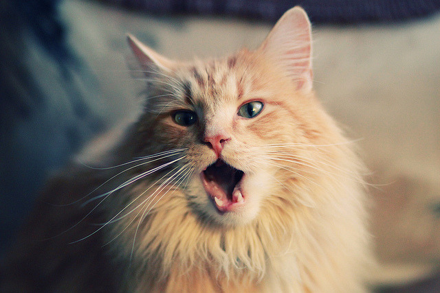 高强度防守之下如何保证出手质量，如何防守高大球员