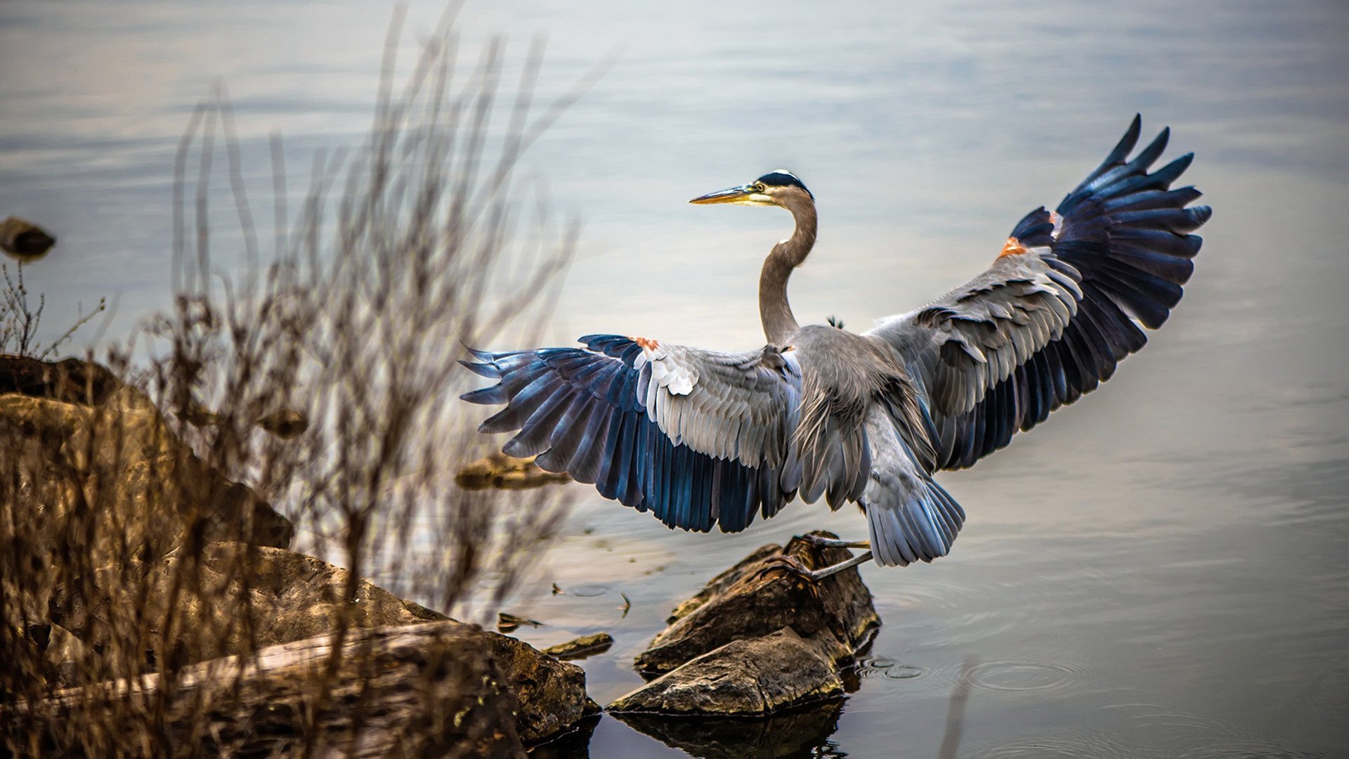 F1大奖赛汉密尔顿再度封王,f1汉密尔顿最精彩的一场比赛