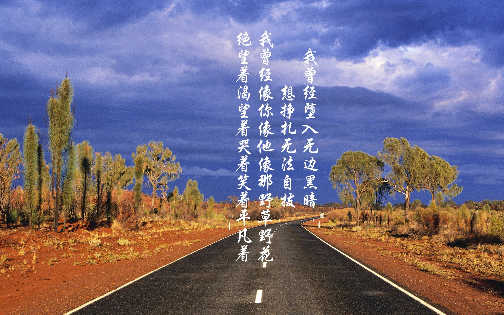 “马科斯·莫奇的灵活防守与精准突破,为阿根廷美洲狮队铺平胜利之路”