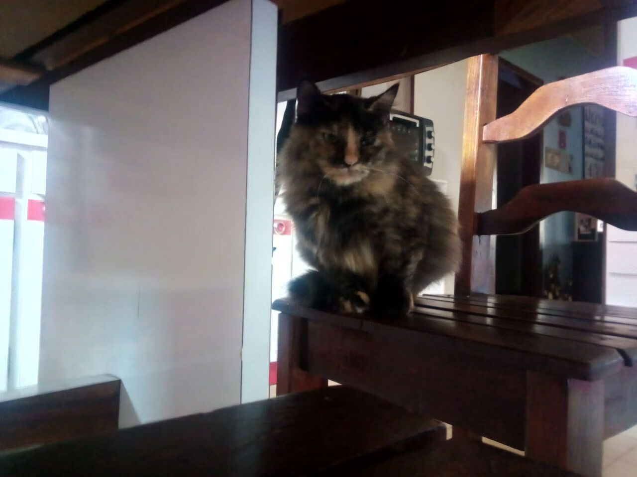 世界杯现场:惊险一刻一触即发,世界杯现场视频