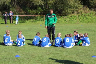 AYX GAME-南非混合泳团队战术引热议，南非的混合农业