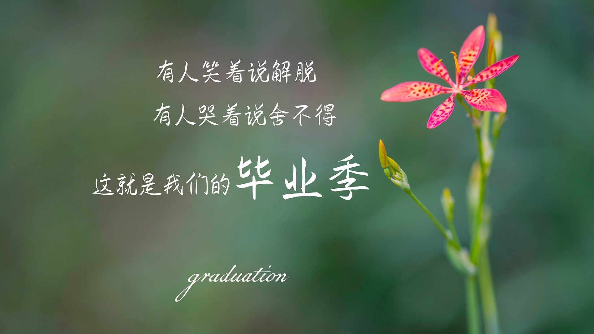 意甲超级战役:激情与战术的完美舞台,意甲战术强在哪里