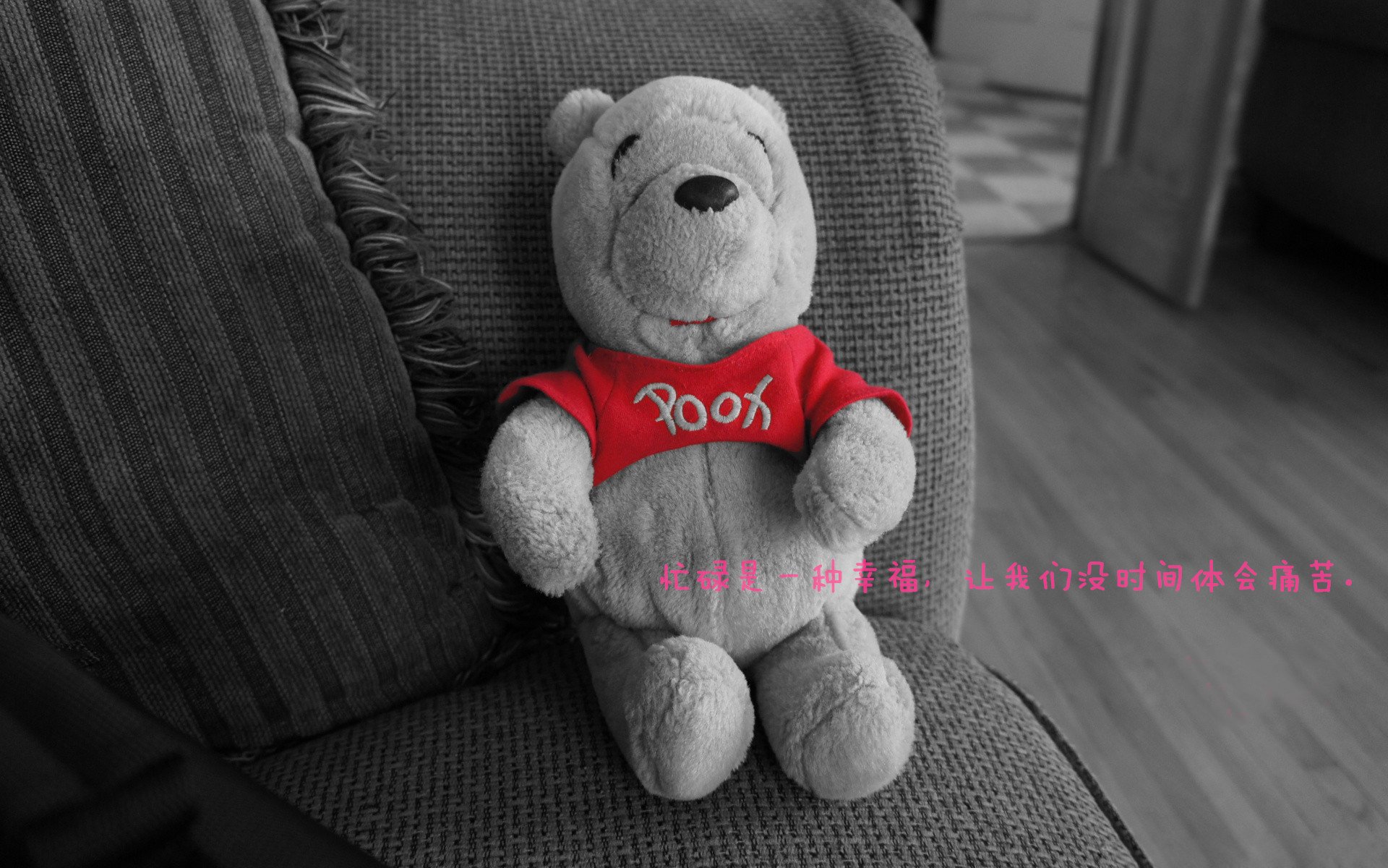 篮球裁判技术支持系统完善提高比赛判罚准确率，篮球裁判基本功