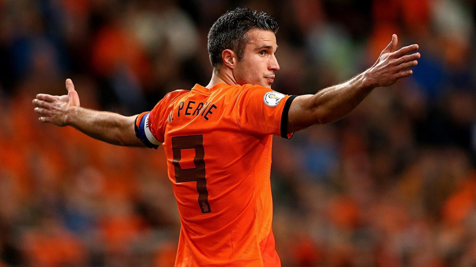 爱游戏真人体育娱乐-荷兰马术协会与大学合作，开展马术运动营养研究，优化饮食方案。